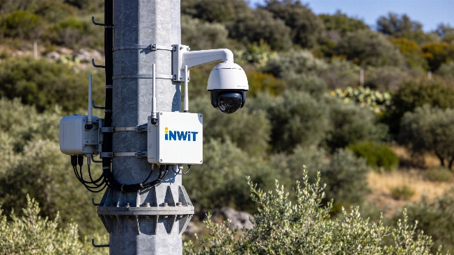 Torri INWIT e IA per la tutela ambientale a Castelporziano QWERTYmag